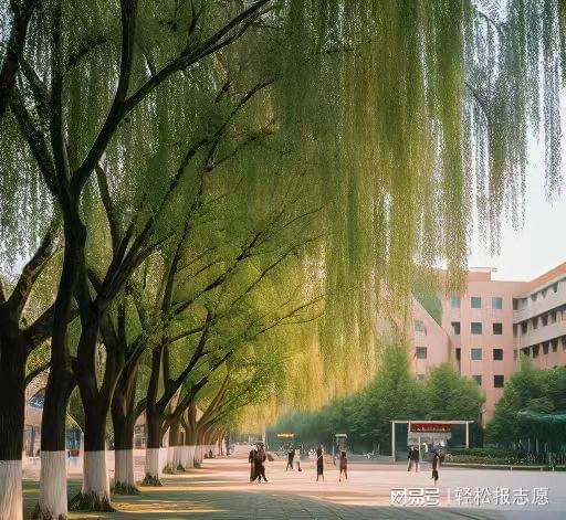 九游体育体育旅游专业培养目标和发展方向(图1)