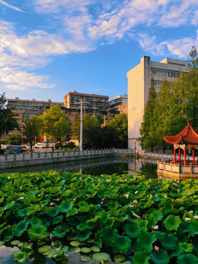 九游体育湖北师范大学在哪里？区位优势明显旅游资源丰富！(图4)