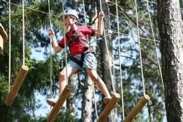 九游体育艾德韦宣集团（09919HK）11月25日收盘下跌37%成交8347万港元