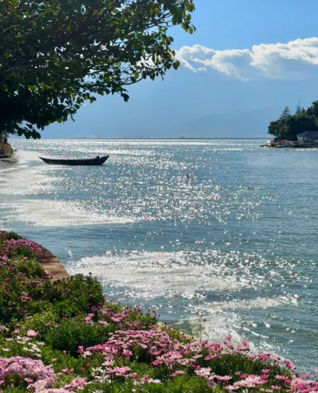 去云南旅游五天报团多少钱？云南有什么好玩的旅游景点景点介绍九游体育(图2)
