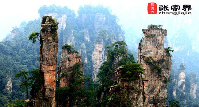去张家界旅游5天大约要多少钱超详细实用攻略九游体育(图1)