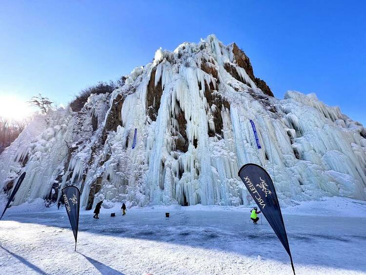 九游体育中国电信中标结果：双峰县文化旅游广电体育局关于光纤租赁服务的网上超市采购项目成交公告