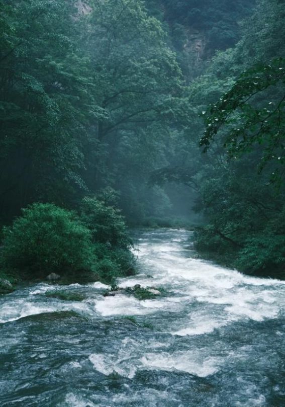 九游体育张家界四天三晚跟团旅游攻略去张家界玩四天的价格是多少？(图1)