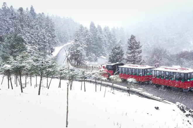 九游体育行业周报：观星之旅将成今年全球旅游热点；2025年元旦跨境游延续高增长态势……(图6)