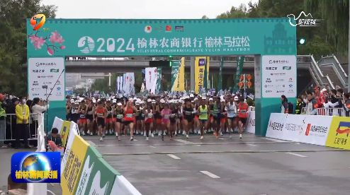 回眸2024 榆林：竞技体育“拔高度”群众九游体育“铺广度”(图3)
