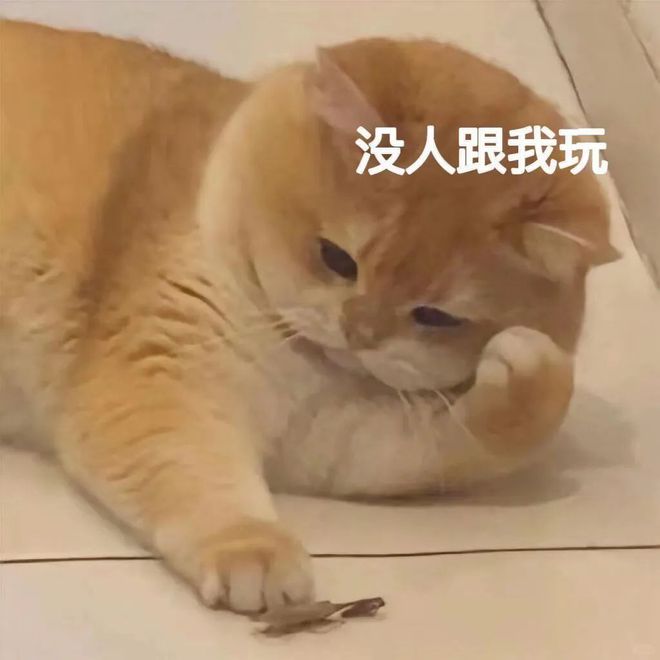 九游体育E句话 ｜陈奕迅演唱会取消泰国旅游还安全吗？(图13)