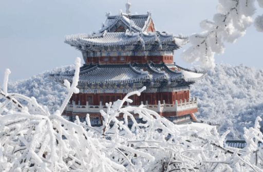 九游体育第一次去张家界旅游注意事项有哪些？4天能玩转整个张家界景区吗(图3)