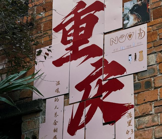 重庆九游体育6日游旅游团价格重庆六天双人逛吃指南！看完少花冤枉钱！(图1)