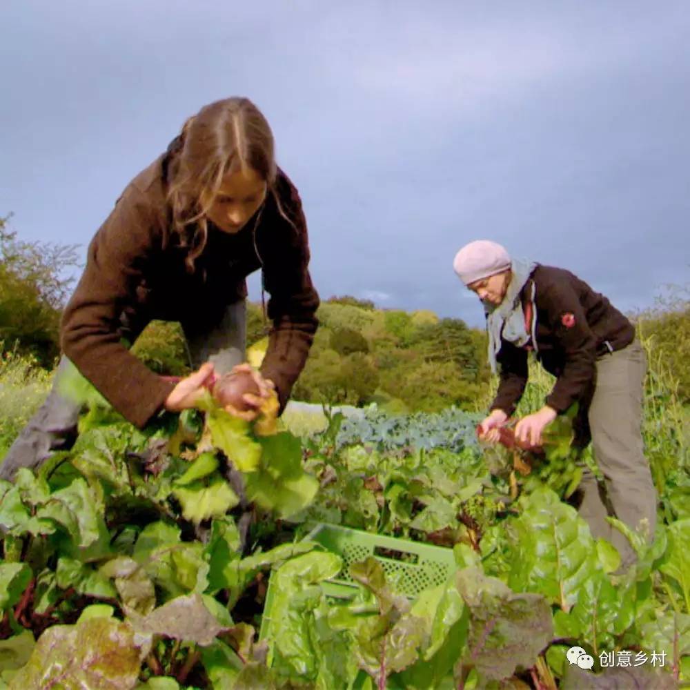 九游体育盘点2016国家关于乡村旅游的政策法规(图2)
