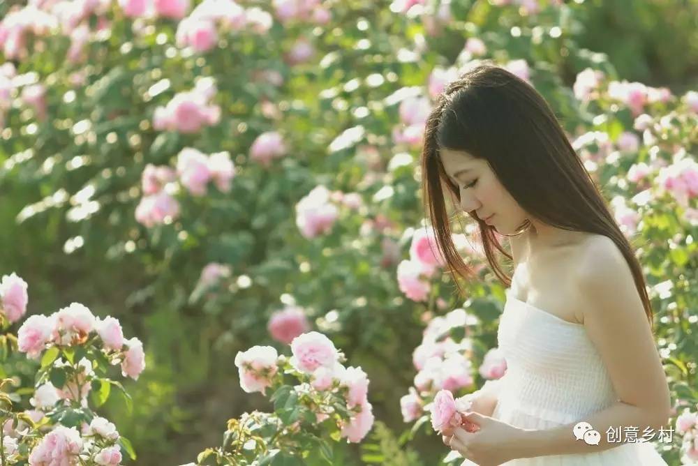 九游体育盘点2016国家关于乡村旅游的政策法规(图9)