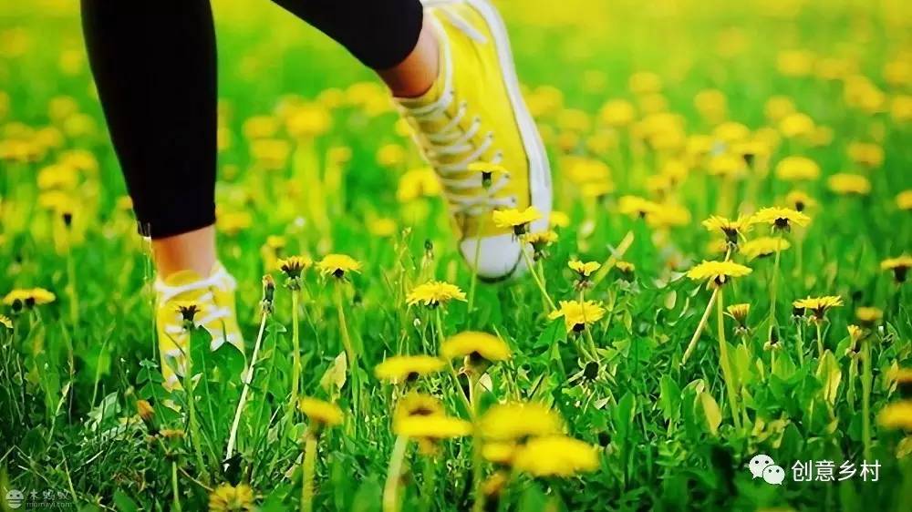 九游体育盘点2016国家关于乡村旅游的政策法规(图10)