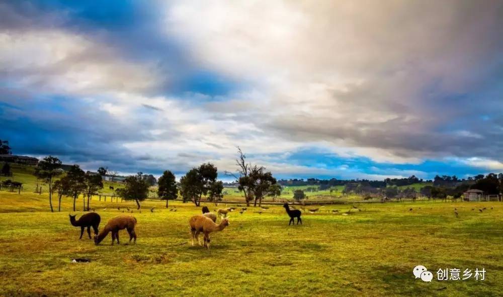 九游体育盘点2016国家关于乡村旅游的政策法规(图13)
