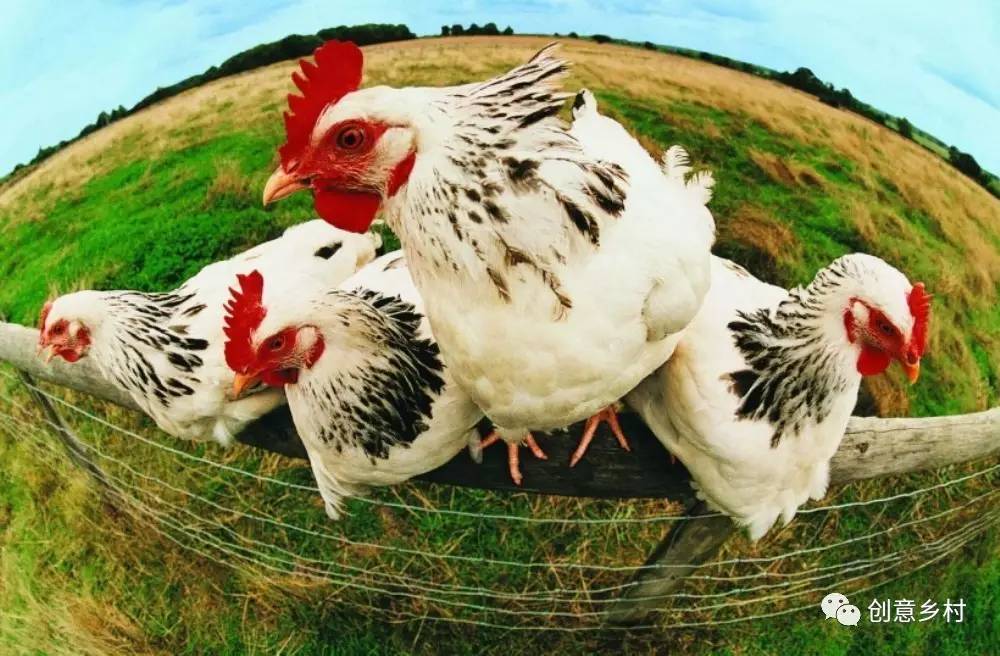 九游体育盘点2016国家关于乡村旅游的政策法规(图17)