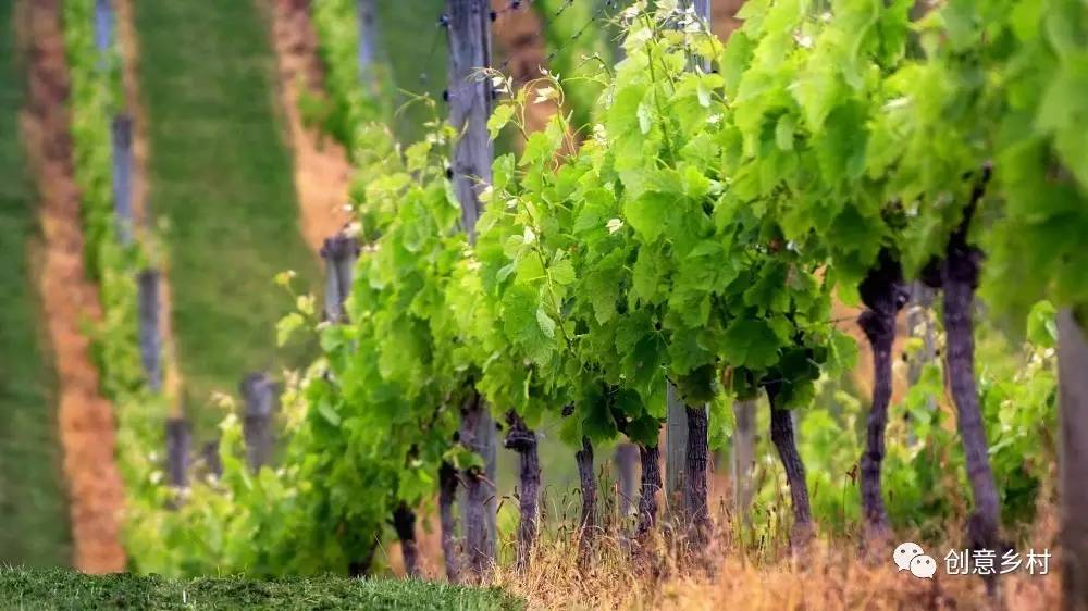 九游体育盘点2016国家关于乡村旅游的政策法规(图23)