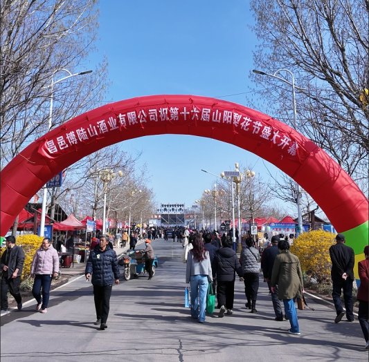 九游体育第十六届山阳梨花节开幕(图2)