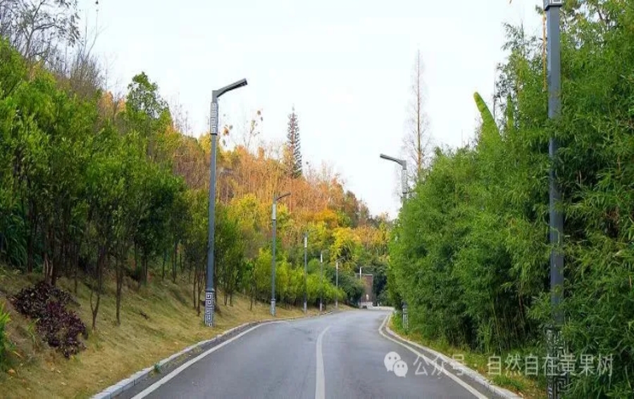 十年砥砺奋前行 瀑乡又迎高朋来——写在第十届安顺旅游产业发展大会在黄果九游体育树旅游区召开之际