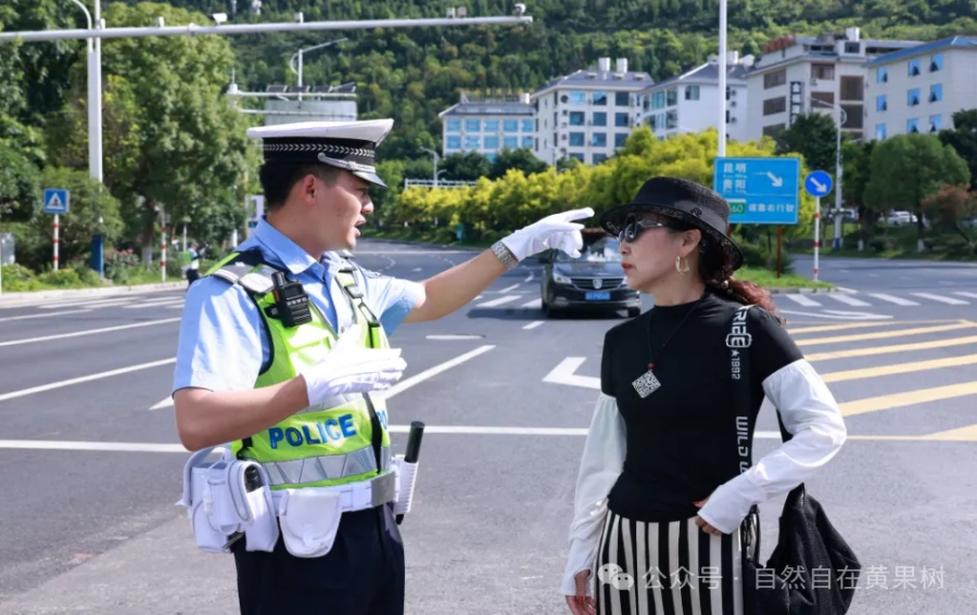 十年砥砺奋前行 瀑乡又迎高朋来——写在第十届安顺旅游产业发展大会在黄果九游体育树旅游区召开之际(图7)
