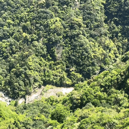 重庆“亚洲第一悬崖秋千”同款！浙江最新的魔鬼峡谷秋千光看着腿就软了！九游体育(图6)