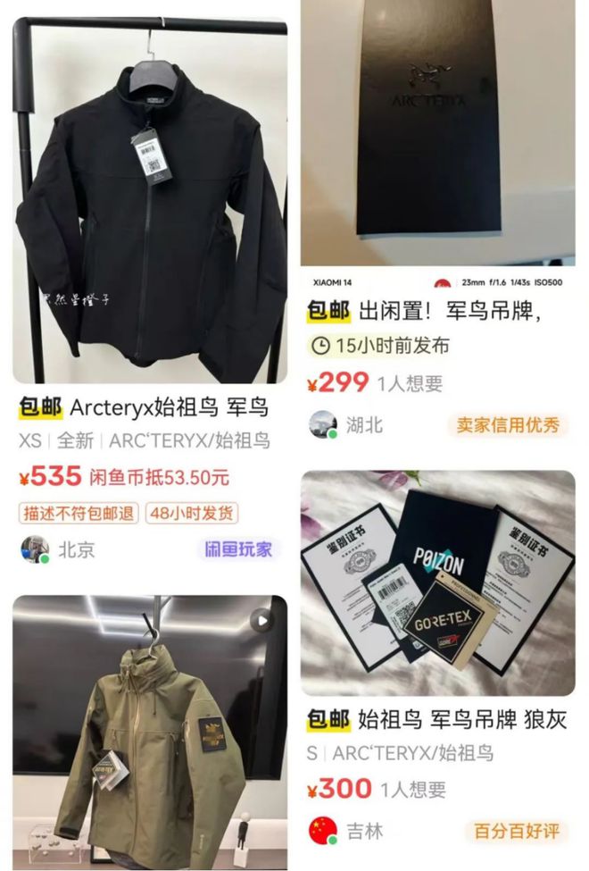 “一鸟难九游体育求”中产为何偏爱始祖鸟？(图5)