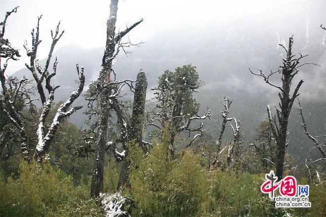 九游体育专家观点｜怒江应成为特种旅游的宝藏之地(图5)