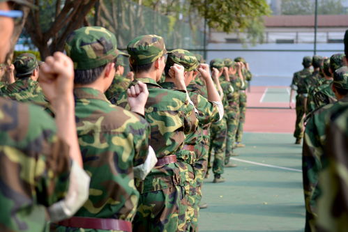 军训搞什么项目赚钱多呢军训搞什么项目赚钱多呢女生九游体育(图2)