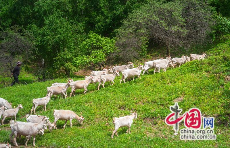 九游体育北灵山户外运动基地启幕 赋能乡村振兴新活力(图6)