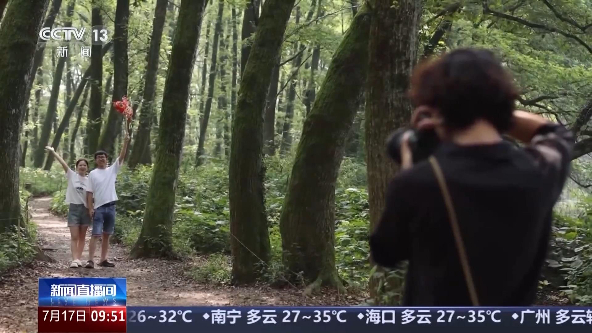 九游体育活力运动、文物展览、清凉旅游……暑期你打算怎么过？(图10)