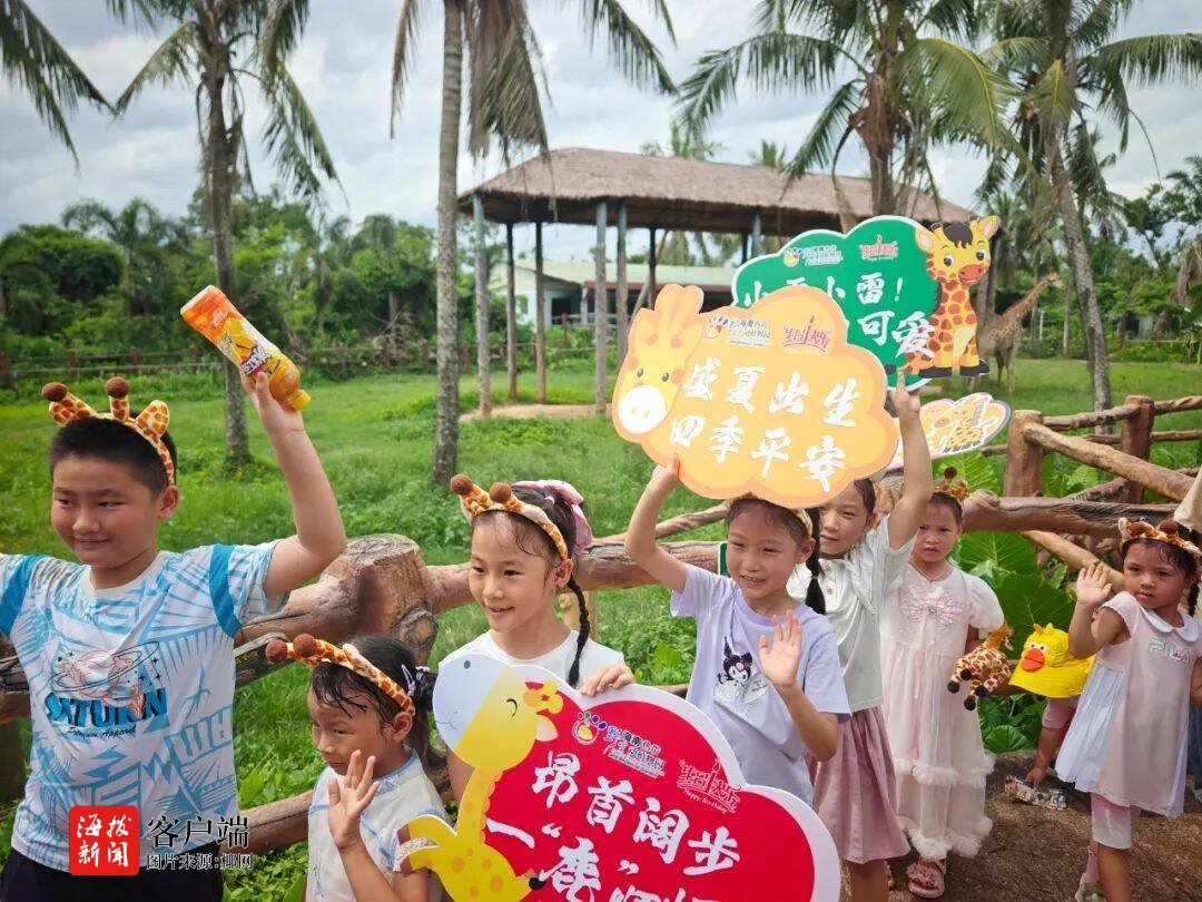 2025年上半年海南共接待游九游体育客552129万人次(图1)