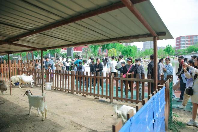 一边骂衡中一边还上赶着去衡中九游体育开放日一天接待38万人(图8)