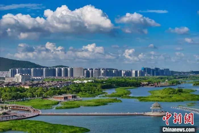 苏超联赛你真是“人均梗王”啊！九游体育(图2)