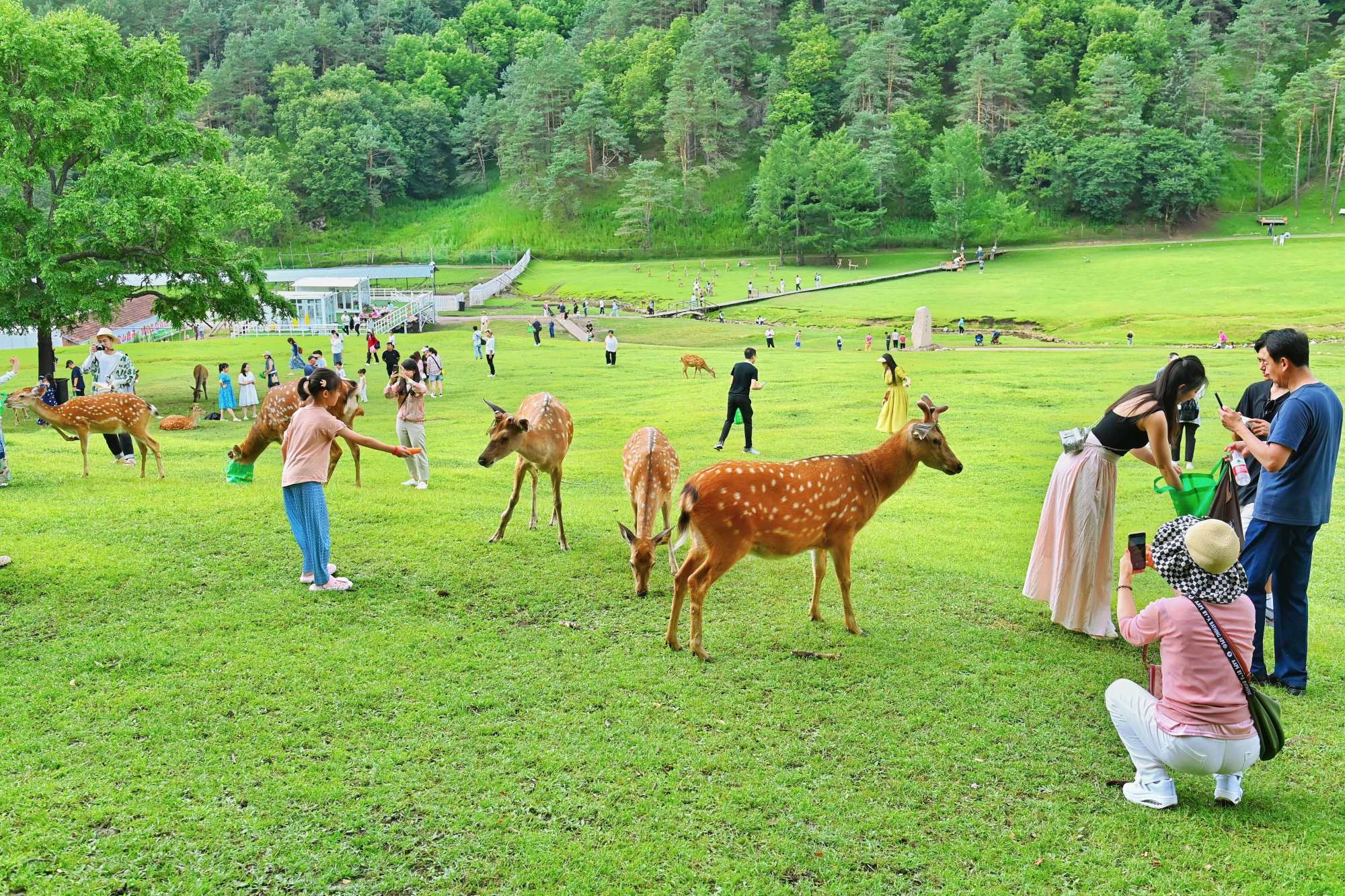 九游体育今夏龙江文旅消费新场景全面升级！(图4)