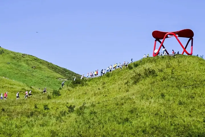 九游体育激情开跑！千名跑者齐聚柘荣鸳鸯草场