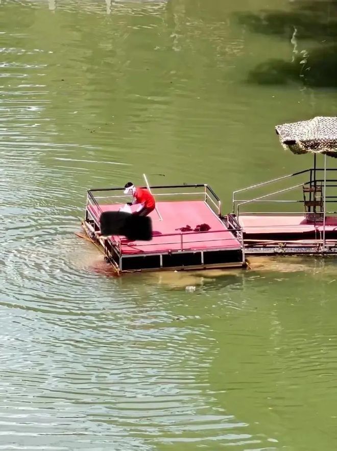 九游体育景区游客从40米高空坠落：水里有血迹