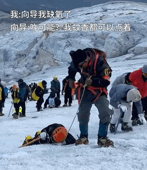 出片很美抢救无效去世九游体育(图17)