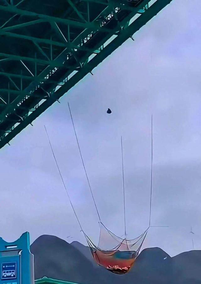 九游体育国内首个无绳蹦极项目被紧急叫停(图3)