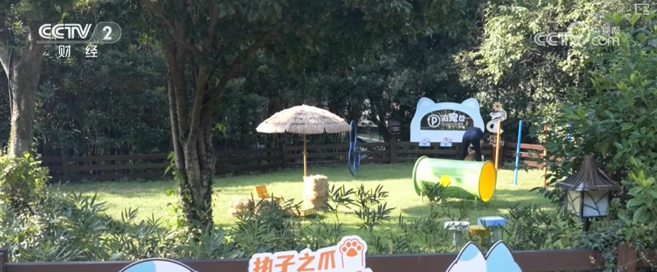 九游体育“赛事+”“情绪价值”“品质化”……消费向新而行 提质、焕新亮点持续显现(图21)