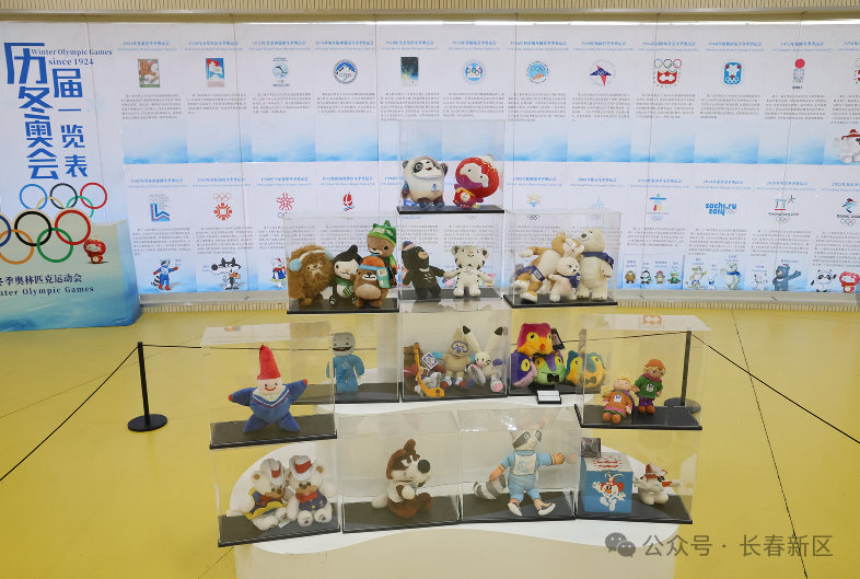 长春新区冰雪体育文化研学基地与长春大学九游体育旅游学院冰雪丝路学院签约(图2)