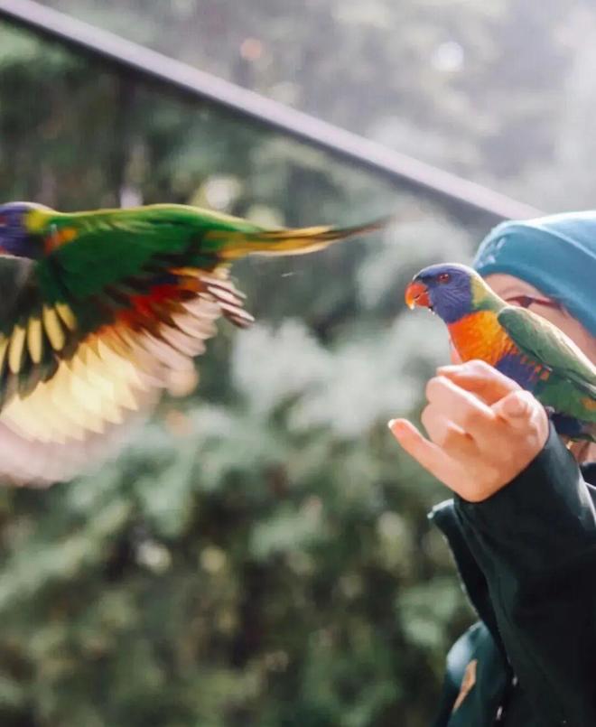 此生必去！不愧是上榜国家地理世界十佳旅行地九游体育是全球无平替的完美度假小镇还是极限运动天堂！(图29)
