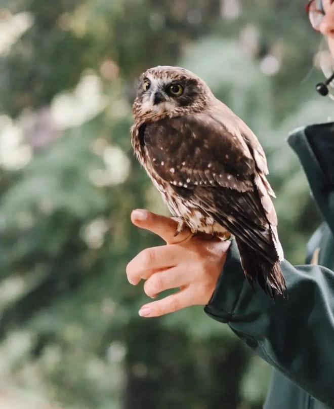 此生必去！不愧是上榜国家地理世界十佳旅行地九游体育是全球无平替的完美度假小镇还是极限运动天堂！(图31)