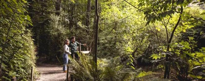 此生必去！不愧是上榜国家地理世界十佳旅行地九游体育是全球无平替的完美度假小镇还是极限运动天堂！(图30)