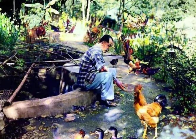 九游体育张学良软禁时真实生活奢华至极完全不像囚徒生活！(图9)