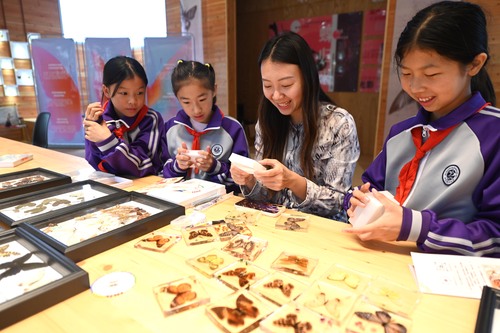 “十四五”以来教九游体育育生态持续优化