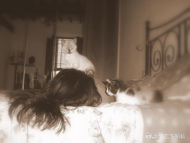 新西兰南岛：冰川与海洋交织的冒险之地九游体育