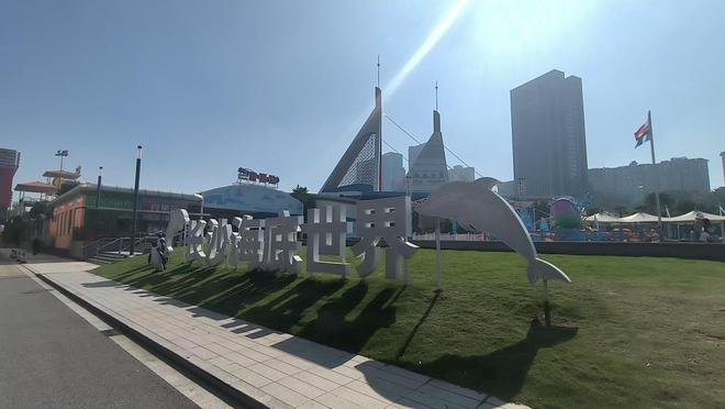 残疾人陪同人员该免票吗？有人发帖付500元招募残疾人被指协助逃票记九游体育者探访(图3)