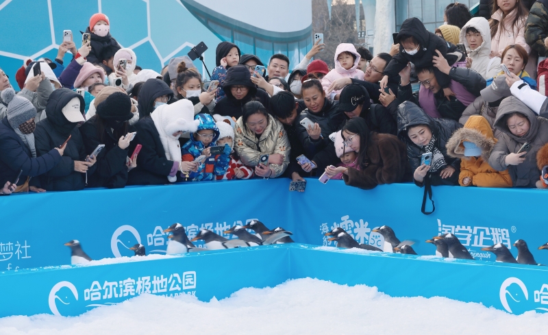 文化中国行丨跃动山海 文体旅融合激发消费新活力九游体育(图2)