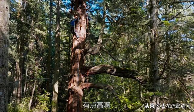 九游体育传下去王一博第一次出发就丢了(图5)