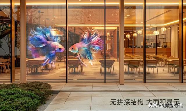 定义空间的光显魔法师洲明全息显示开九游体育辟崭新沉浸式视觉时代(图3)