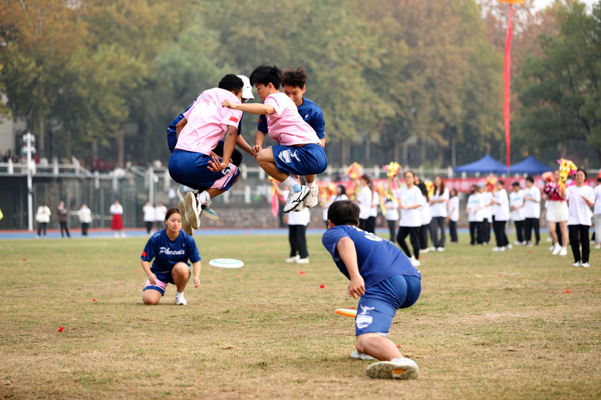 极限飞盘：绿茵上的协作与尊重九游体育