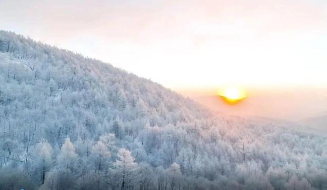 放假5天！呼伦贝尔“雪假”官宣啦！免费政策+福利活动 看这一篇就够了九游体育(图7)