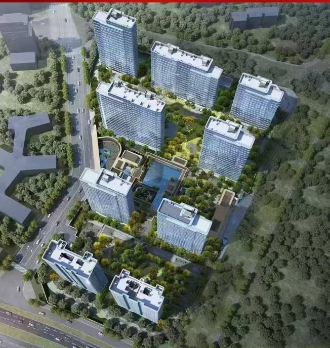 官方通告 伟星T10项目电话号码-价格(图4)